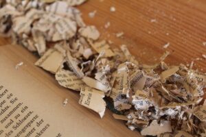 Anulação de testamento: quando é possível e como funciona?